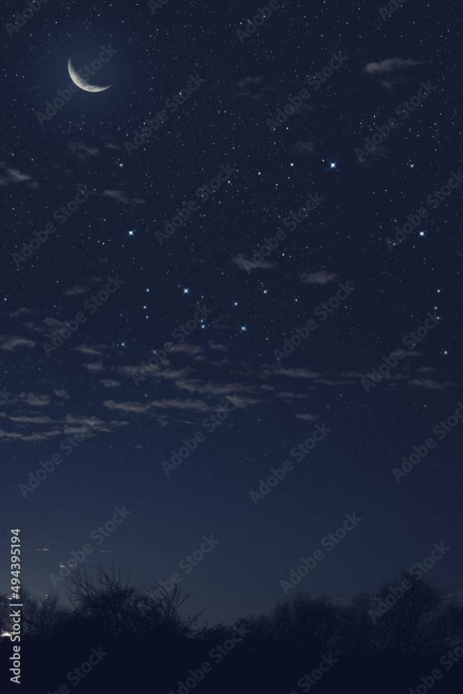 Fototapeta premium big moon