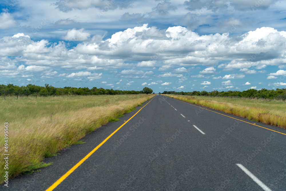 dead straight asphalt road through the savannah landscape of Botswana