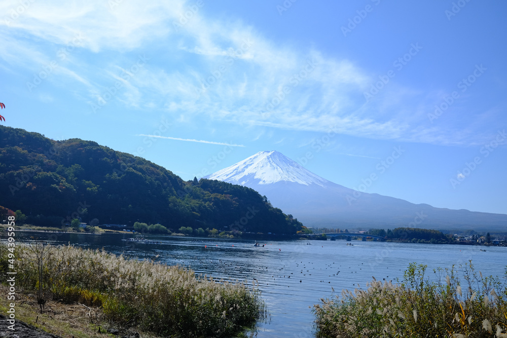 Beautiful mountain Fuji with snow and clear sky background at Kawaguchiko lake in Japan. Mt Fuji is one of famous mountain.