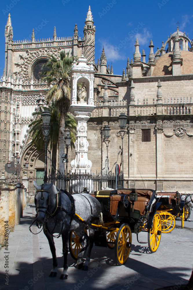 Fototapeta premium Touristen Kutschen in Sevilla vor der Kathedrale Santa María de la Sede