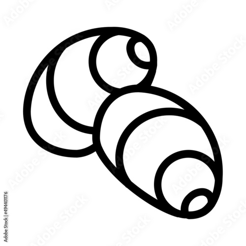 Mollusk