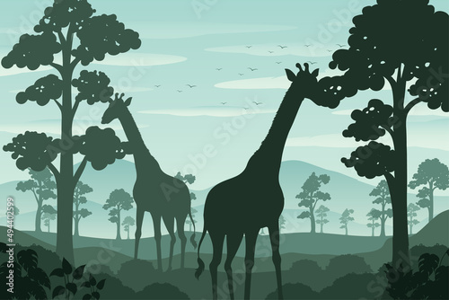 Silhouette shadow of forest scene