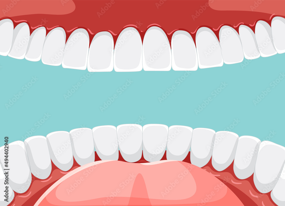 Fototapeta premium Human teeth inside mouth with whiten teeth