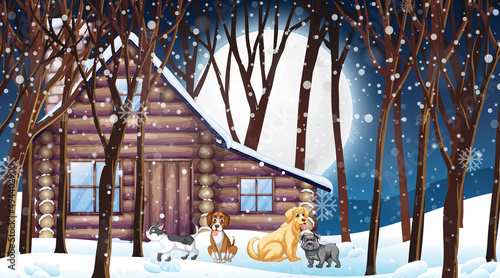 Set of different domestic animals with snow in forest
