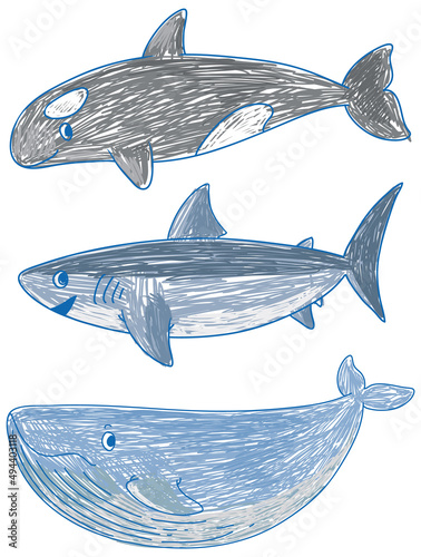 A paper with a doodle design of the different sea creatures with colour