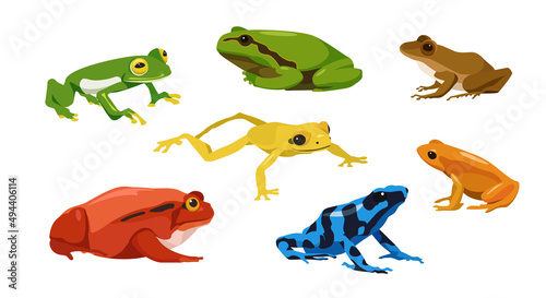 Set of frogs in cartoon style. Vector illustration of reptiles isolated on white background. Types of frogs in the picture glass  tree  craugastor  tomato  golden poison  mantella  poison dart.