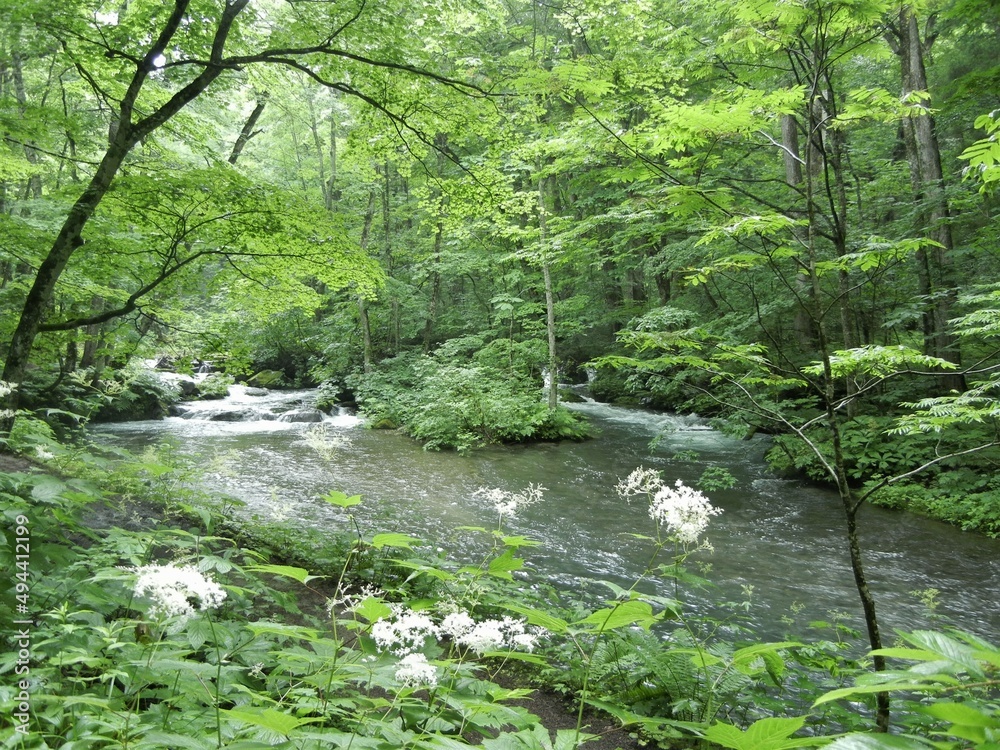 A scene od Oirasegawa flowing through Oirasekeikoku in Towada