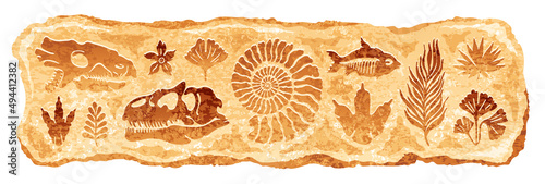 Fossil vector. Archeologic fossil dig set. Dinosaur dino foot, sea animal, fish skeleton, plant, shell. Ancient sand stone. Evolution rock prehistoric art. Paleontology, history limestone watercolor
