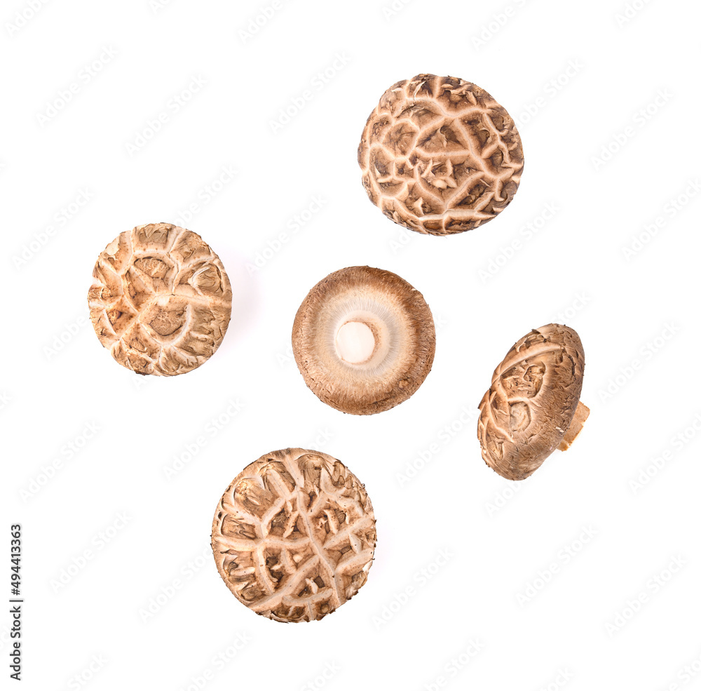 Top view of Shiitake Mushrooms isolated on white background Top view of Shiitake Mushrooms isolated on white background