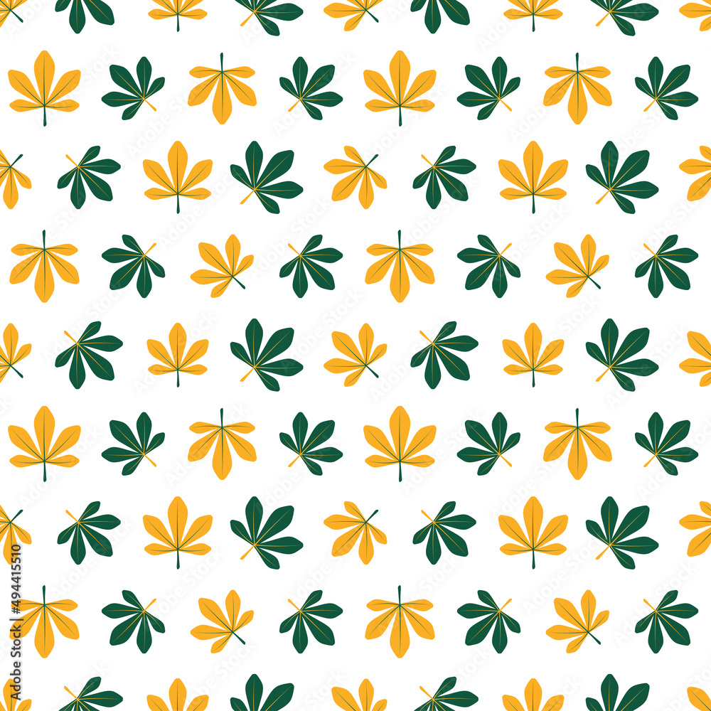 Yellow and green leaves on white background.