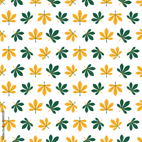 Yellow and green leaves on white background. © FRESH TAKE DESIGN