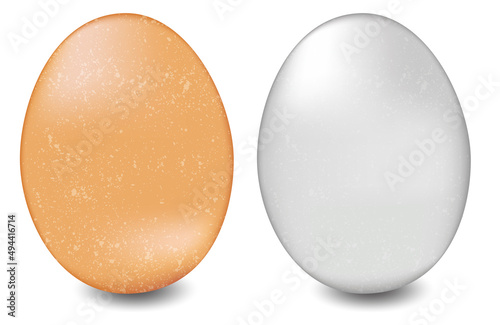 Vector realistic brown white egg easter breakfast
