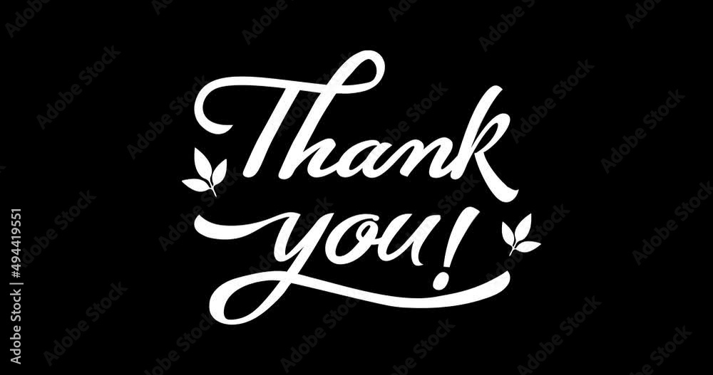 Thank You animated, suitable for celebration, wishes, events, message, holiday, festival. Thank You text animation, handwritten in white color with black screen and green screen footage motion graphic Thank You animated, suitable for celebration, wishes, events, message, holiday, festival. Thank You text animation, handwritten in white color with black screen and green screen footage motion graphic