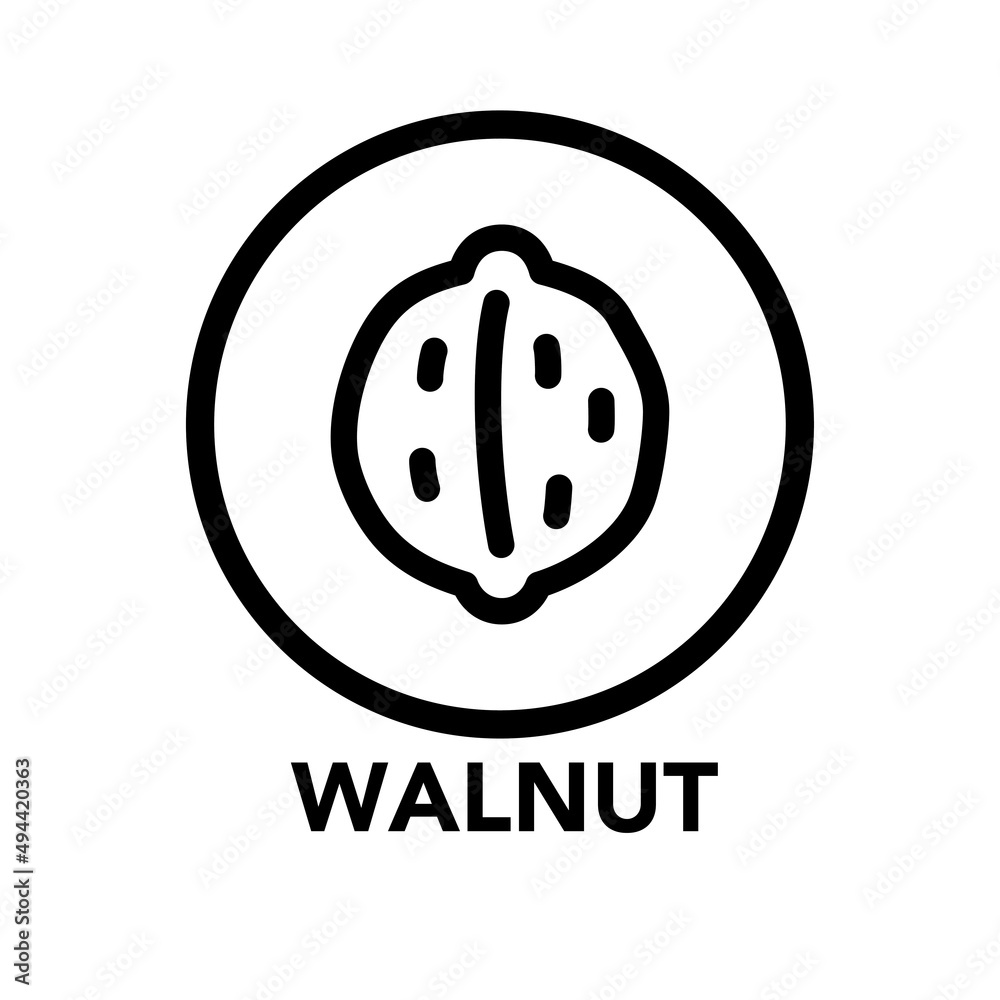 Fototapeta premium Round frame walnut icon, one of the food allergy icons set