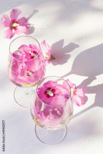 Creative composition made of two glasses with hibiscus flower water on white background with sunlit. Summer and refreshment concept. Minimal style