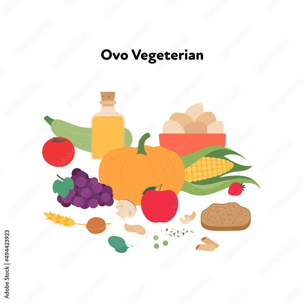 Food plate example concept. Vector flat illustration. Ovo vegetarian diet symbol isolated on white background. Veggies, fruit, eggs, bread and cereal color sign set.