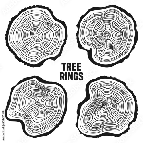Round tree trunk cuts, sawn pine or oak slices, lumber. Saw cut timber, wood. Wooden texture with tree rings. Hand drawn sketch. Vector illustration