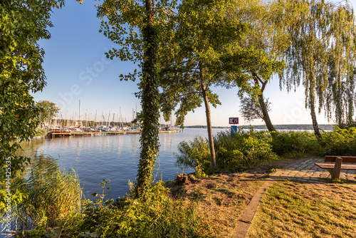 Green Trees at Berlin Wannsee with Boats photo