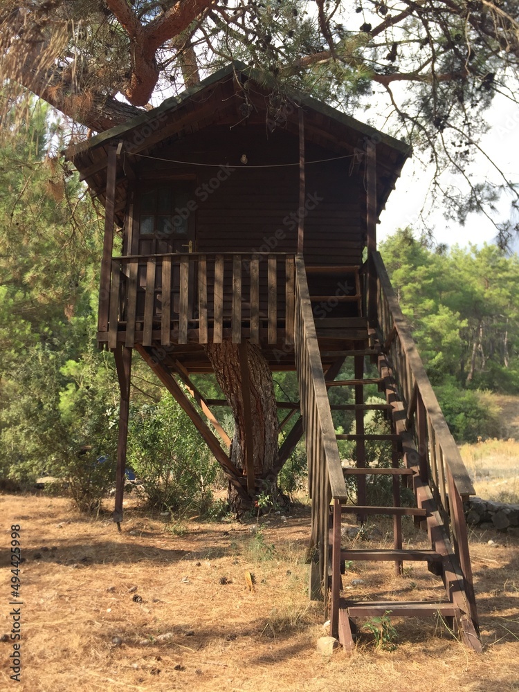 Treehouse with a staircase for backpacker's travel. timber treehouse kids play yard. cottage in the forest. Treehouse with a staircase for backpacker's travel. timber treehouse kids play yard. cottage in the forest.