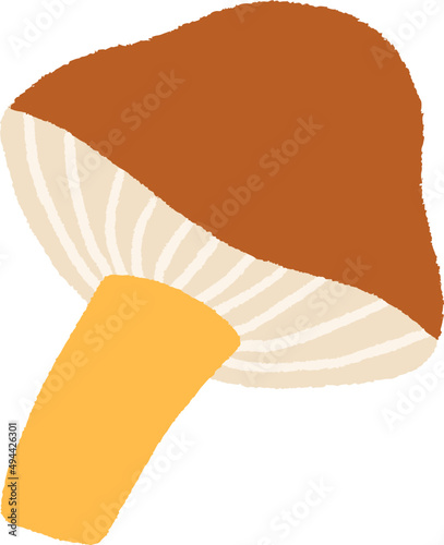 Forest Mushroom Hand Drawn Cartoon Illustration