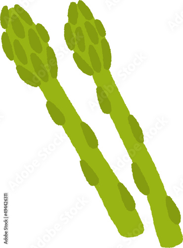 Green Asparagus Hand Drawn Cartoon Illustration