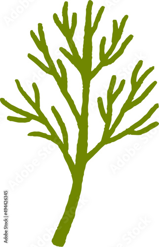 Sprig of Greenery Hand Drawn Cartoon Illustration