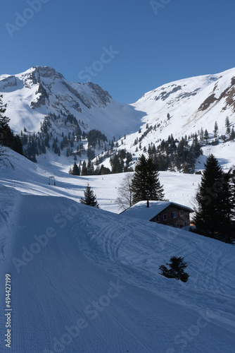 Flumserberg: Skiers, snowboarders, carvers, families all enjoy their time on the ski runs of winter sports resort located directly above Lake Walen. 65 km of perfectly groomed slopes invite you. © nurten