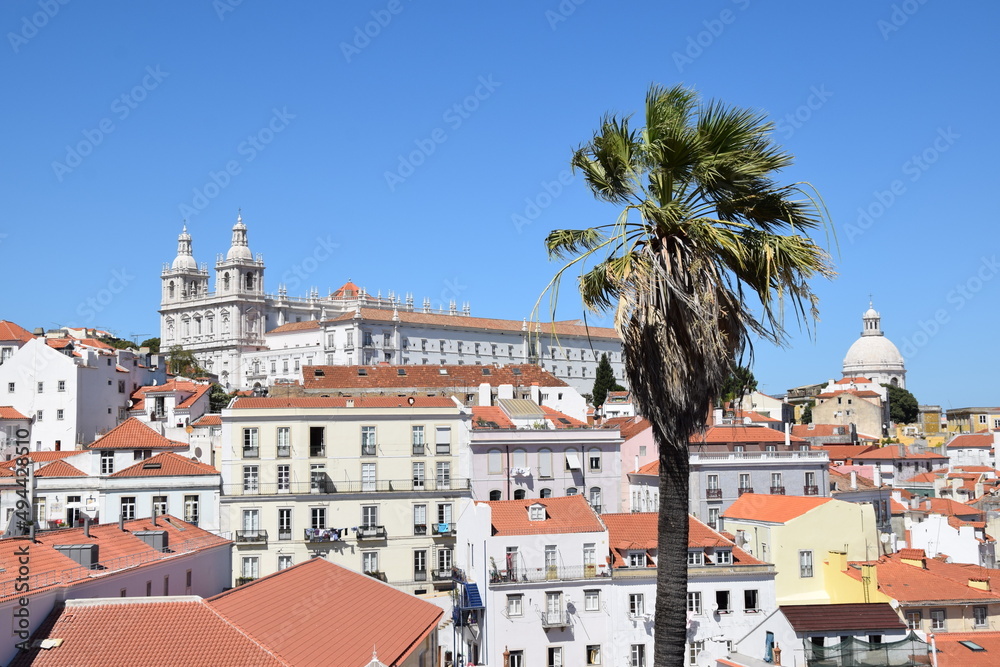 Lisbon from above panorama picture from the portuguese capital with a palm tree in the front  