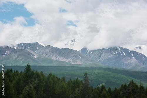 Gloomy alpine landscape with dark green forest with view to high snowy mountain peak in low clouds. Dark atmospheric mountain scenery with coniferous forest and large snow mountain range in cloudy sky