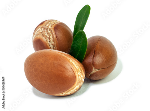 Moroccan Argan nuts with green leaves on white isolated background. Argan seeds, for the production of oil