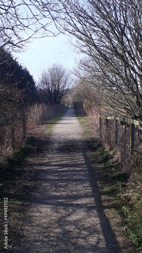 Old train track path