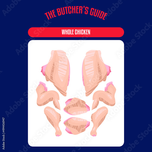Meat and Chicken cuts. Diagrams for butcher shop. Scheme of Chicken. Vector illustration. Chicken butcher's guide. Used for cooking steak and roast - chicken neck, tenderloin, wing, drumstick, etc.