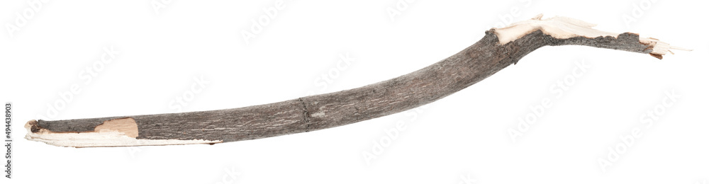 Dry tree twigs branches isolated on white background. pieces of broken wood plank. small wood chips close-up Dry tree twigs branches isolated on white background. pieces of broken wood plank. small wood chips close-up