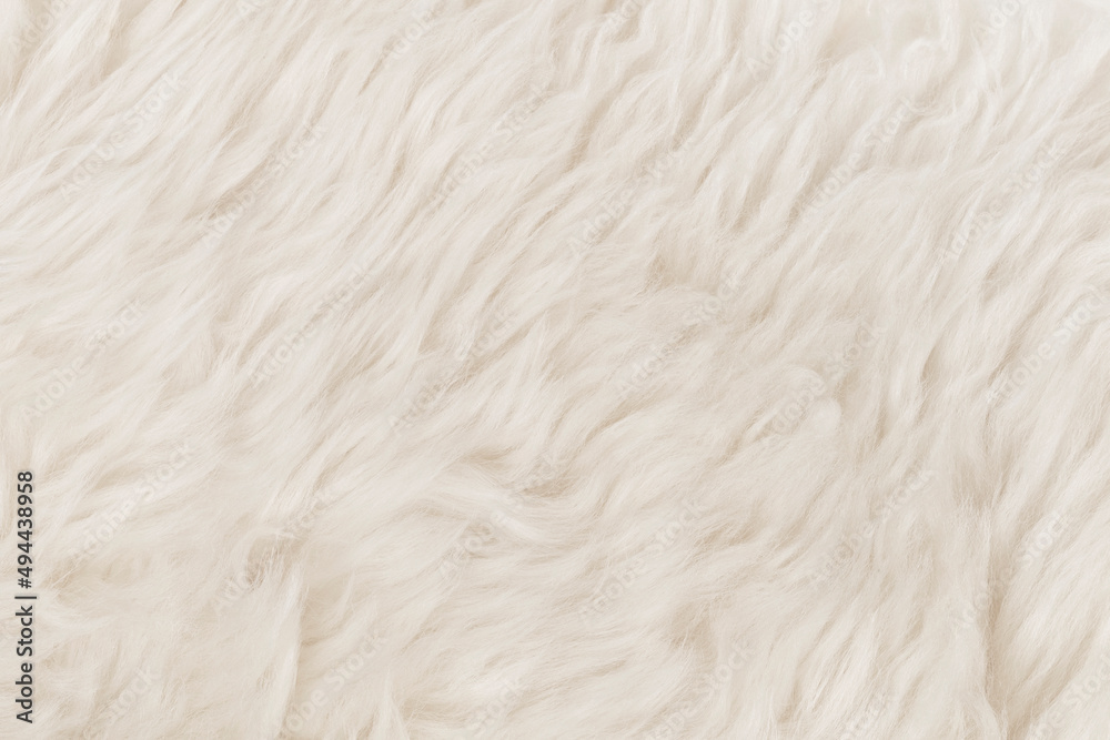 White fluffy wool texture background. natural fur texture. close-up for designers White fluffy wool texture background. natural fur texture. close-up for designers