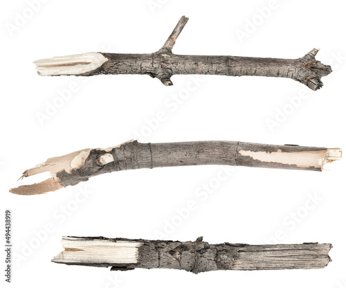 Dry tree twigs branches isolated on white background. set pieces of broken wood plank. collage small wood chips close-up