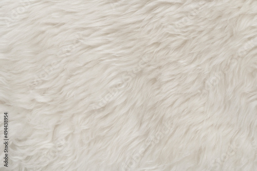 White fluffy wool texture background. natural fur texture. close-up for designers
