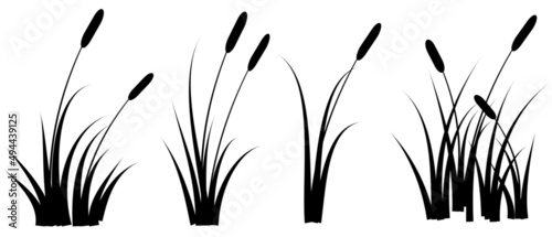 reeds silhouette set isolated on white background