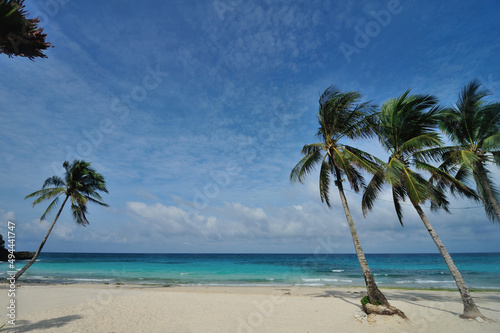 Scenic view of blue sky, coconut trees and white sandy beach of Punta Bunga Beach in Boracay Island, Philippines.