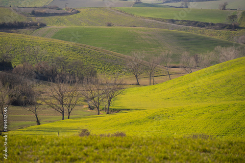 prati e colline