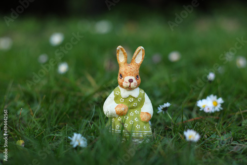 Fototapeta Naklejka Na Ścianę i Meble -  Easter Rabbit. Easter eggs hiding in the grass with daffodil. 