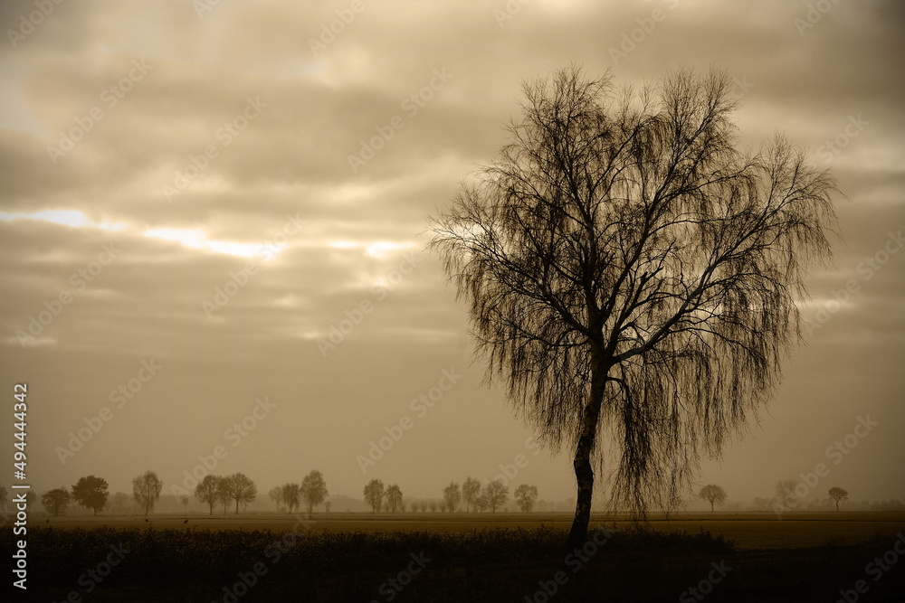 Obraz premium morning mood,morgenstimmung