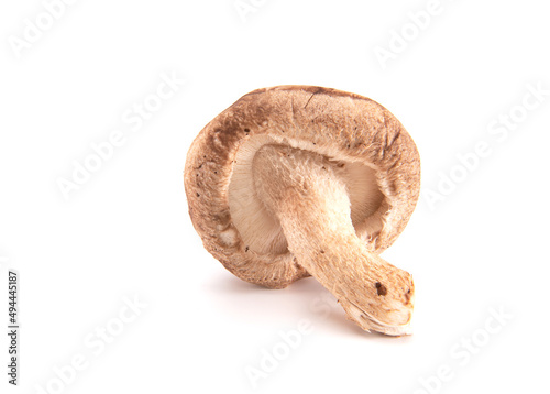 Fresh shiitake mushroom isolated on white background