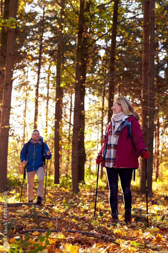 Front View Of Mature Retired Couple Walking Through Fall Or Winter Countryside Using Hiking Poles Front View Of Mature Retired Couple Walking Through Fall Or Winter Countryside Using Hiking Poles