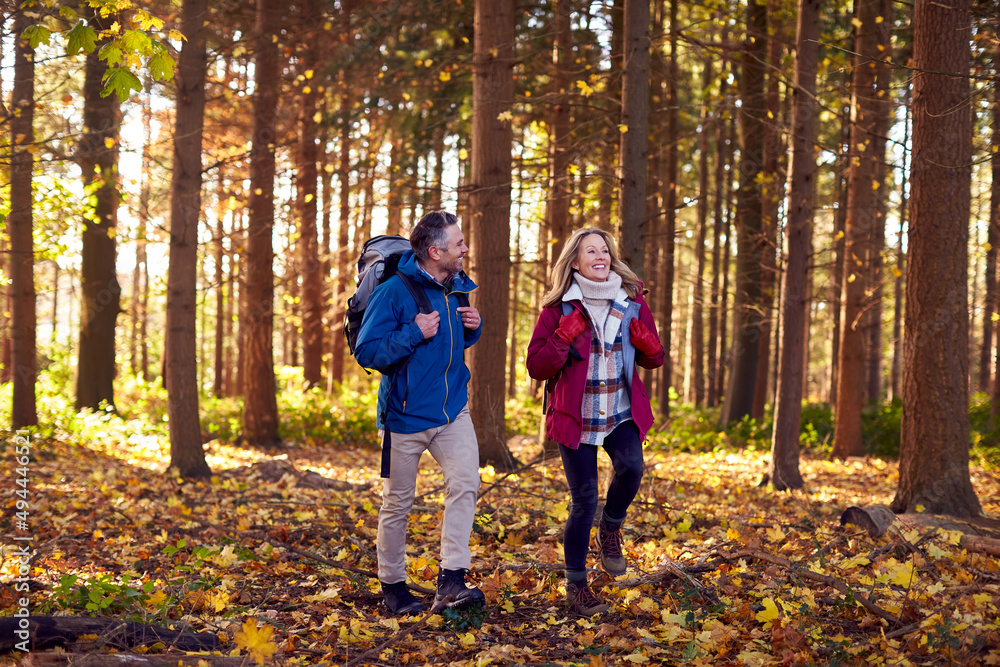 Mature Retired Couple With Backpacks Walking Through Fall Or Winter Countryside Mature Retired Couple With Backpacks Walking Through Fall Or Winter Countryside
