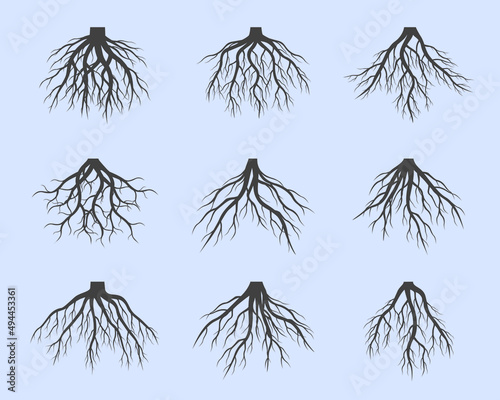 Set grey Tree Roots on blue background. Vector Illustration. Plant in Garden.