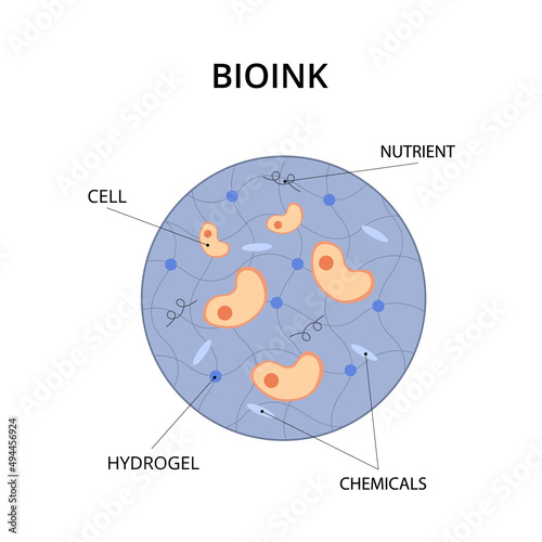 Bioink containing cells, nutrients, chemicals and hydrogel for medical 3D printing. Bioprinting, creating internal organs for transplantation. Innovation implantation