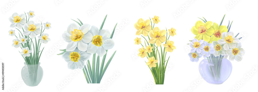 set of blooming flowers of yellow and white daffodil vector illustration - obrazy, fototapety, plakaty 