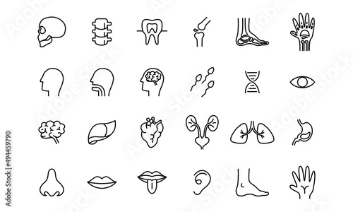 human organ icon illustration design. simple internal organs related vector line icons