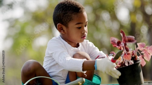 African American boy Doing tree planting activities  in lawn park summer vacation. kid Learn how to care for foliage in pots. School age Enjoy life with nature. conservation environment friendly