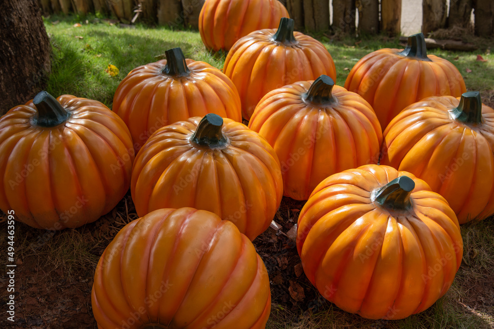 There are many pumpkin props for decoration on the grass There are many pumpkin props for decoration on the grass